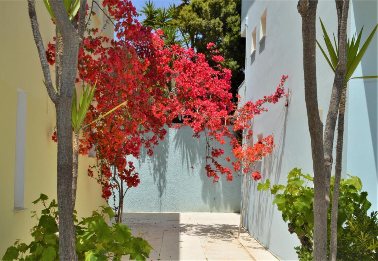 Meraki Apartments And Studios Tolón Exteriör bild